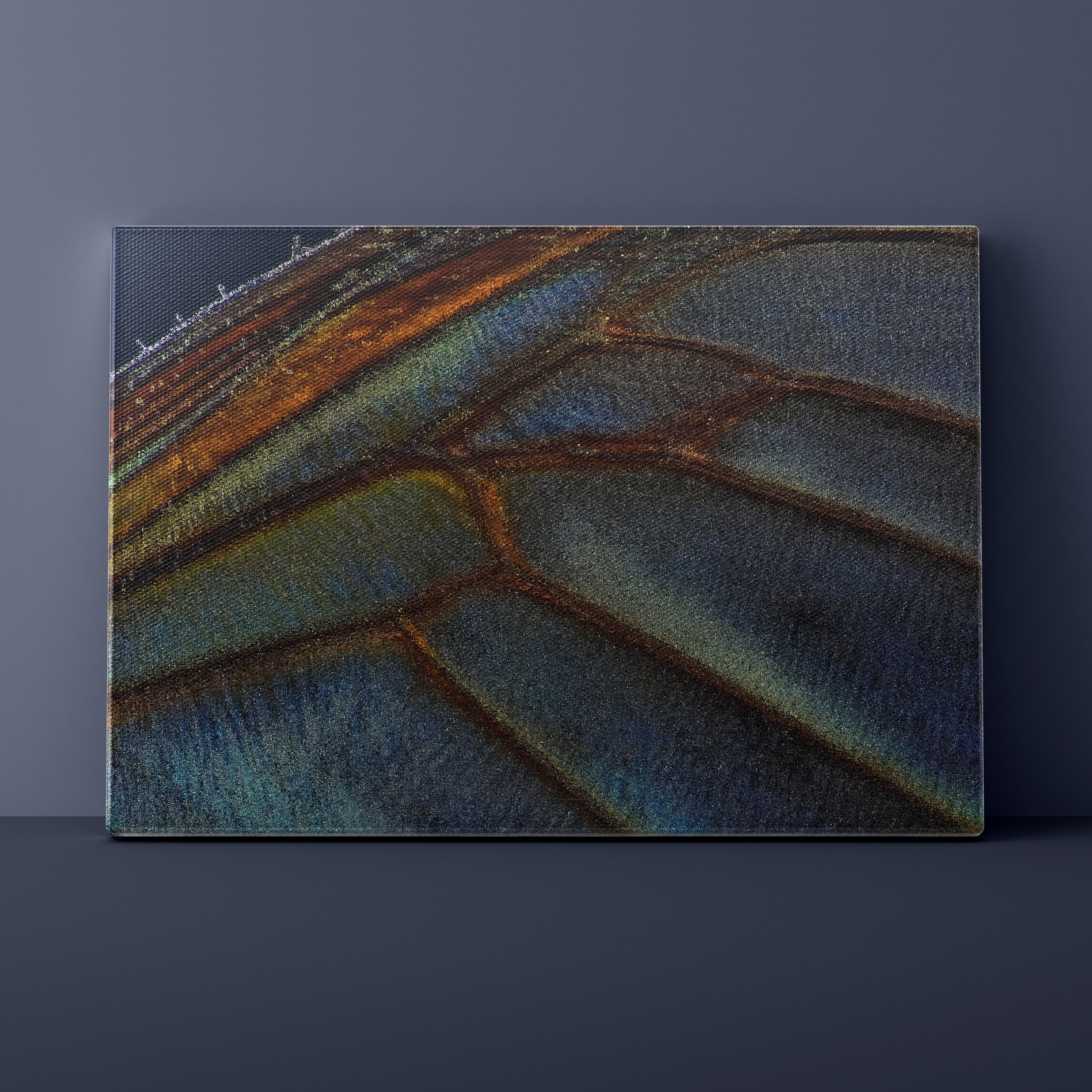Close-up of a butterfly wing with intricate patterns on a dark background