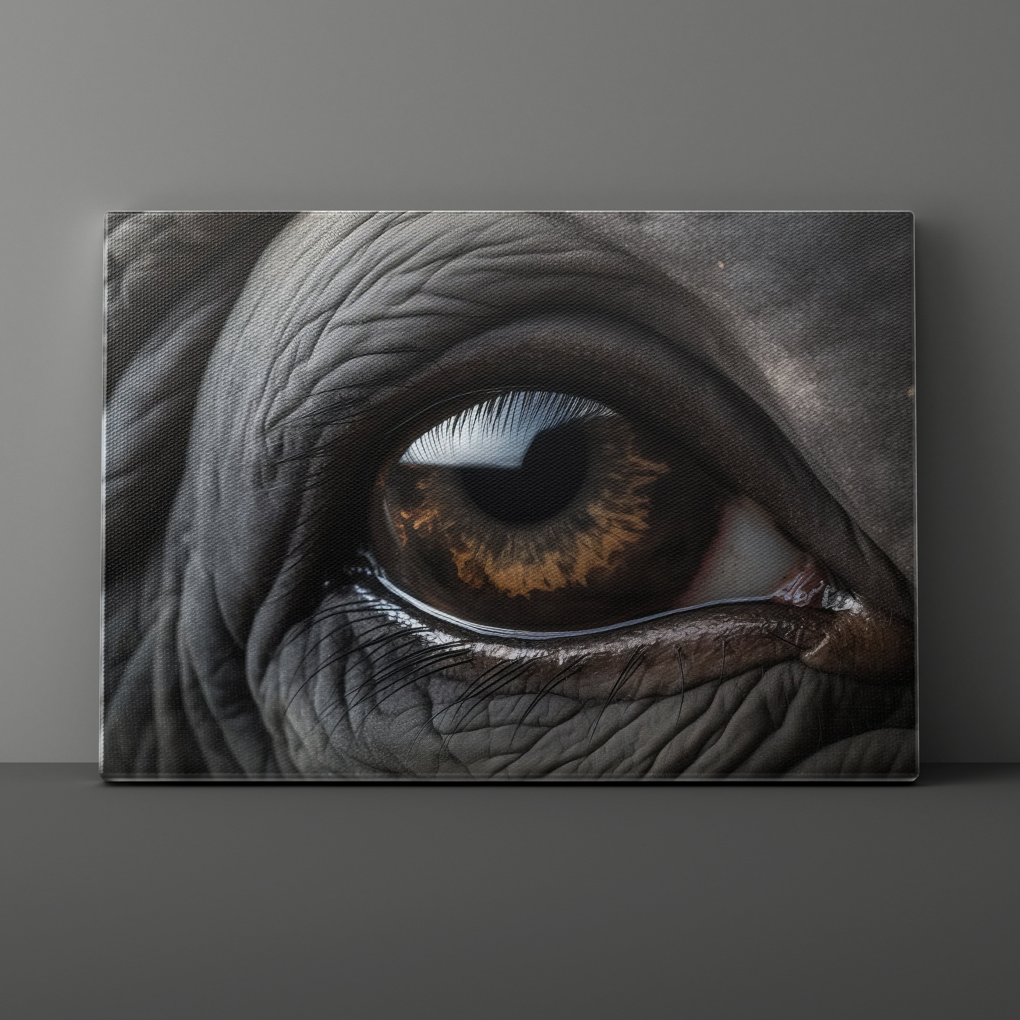 Close-up of an elephant's eye on a gray background