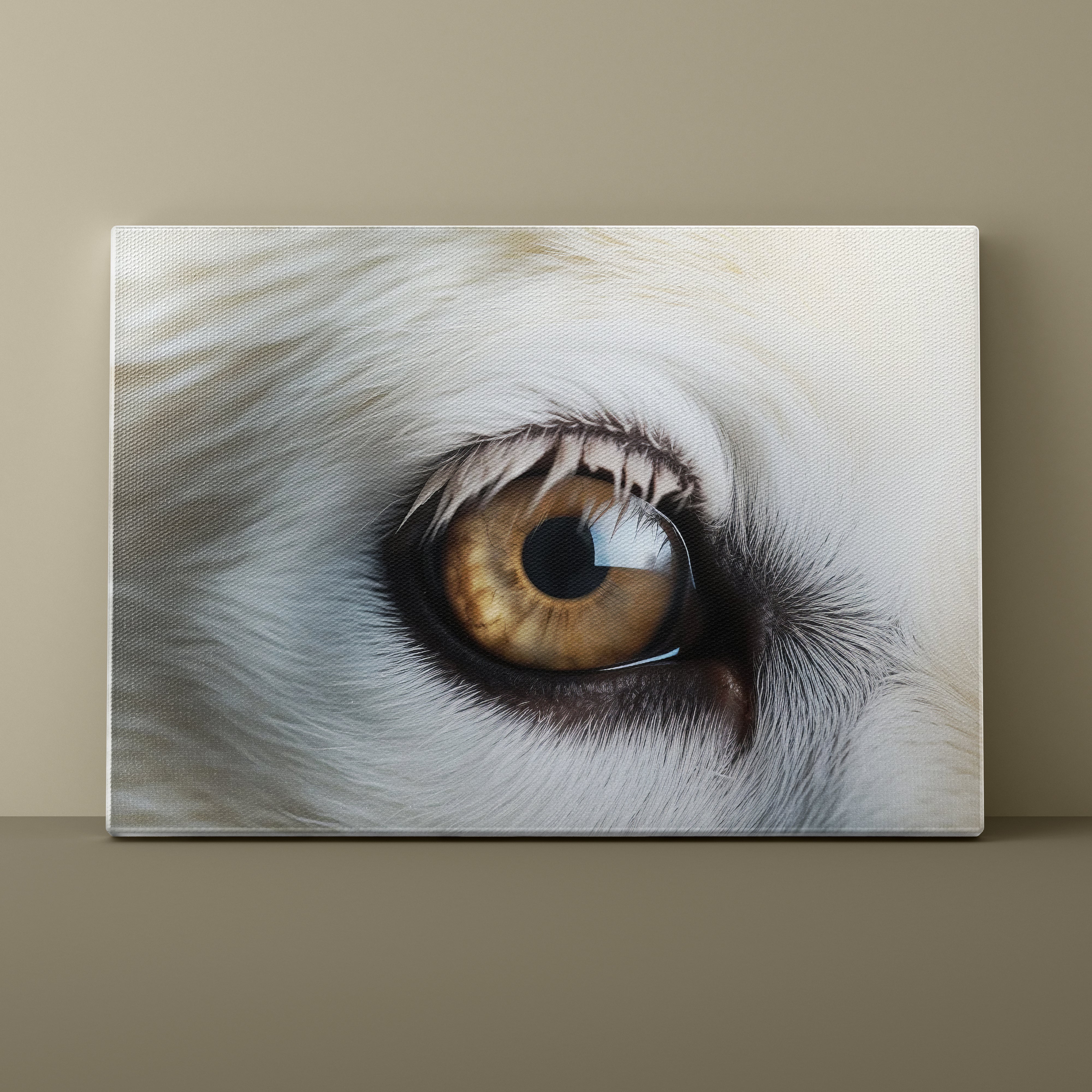 Close-up of a Polar Bear's eye on a beige wall