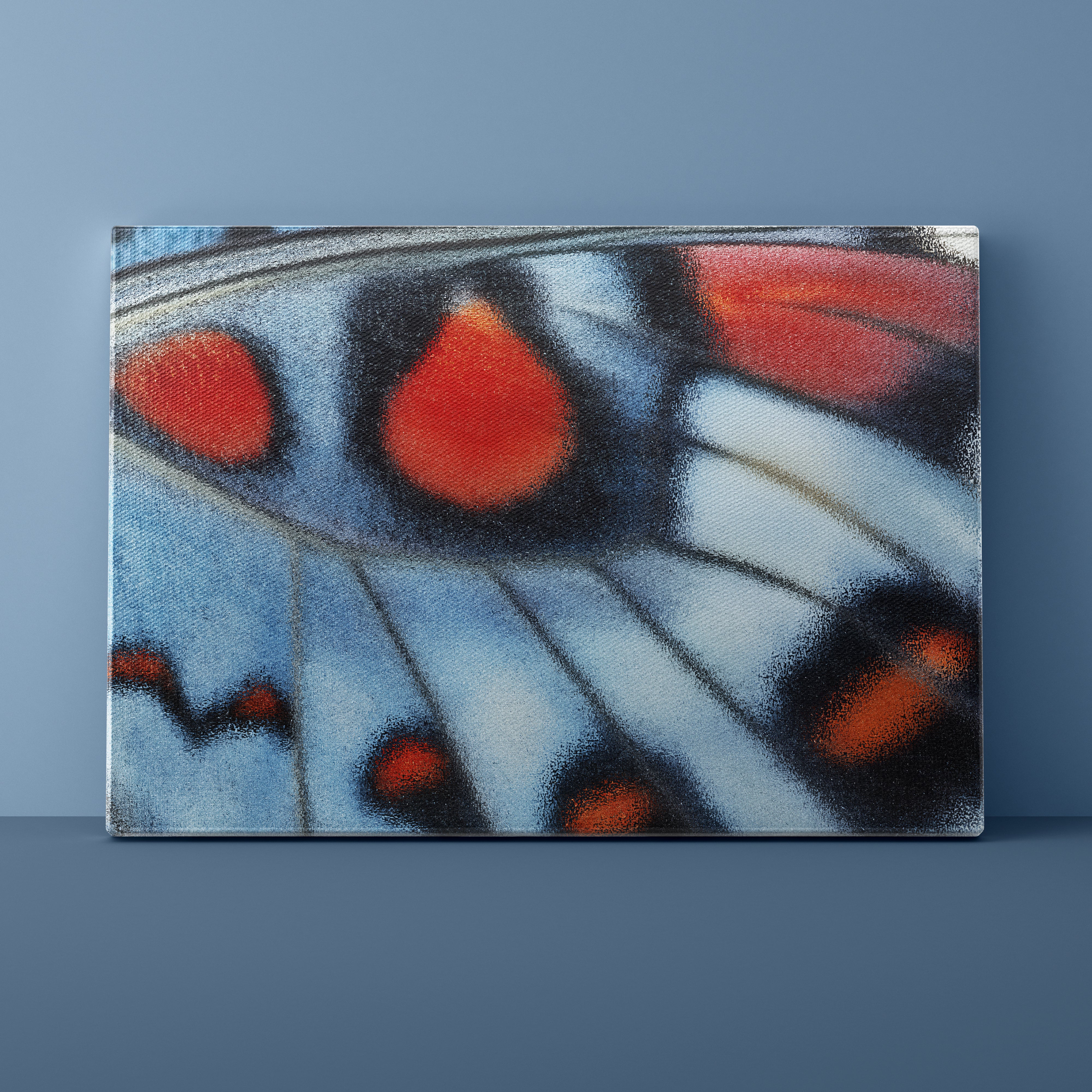 Close-up of a butterfly wing with red, black, and blue colors on a blue background