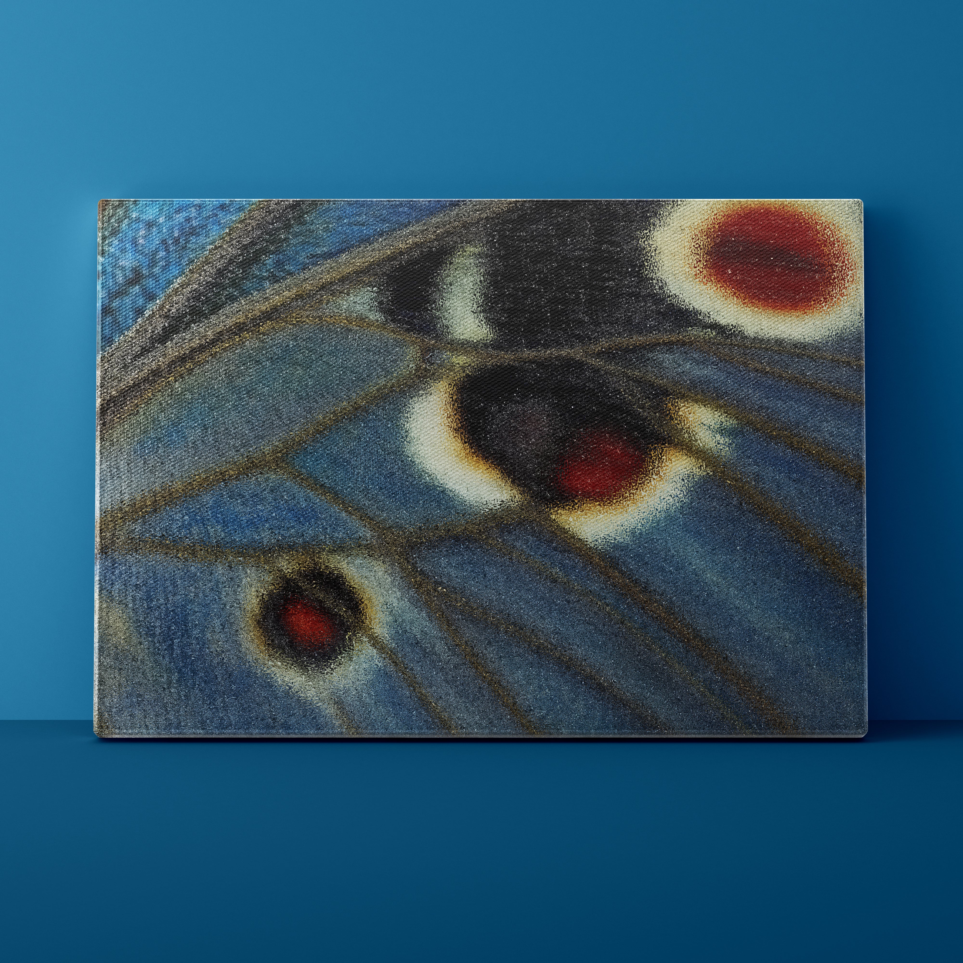 Close-up of a butterfly wing with blue, black, and red colors on a blue background