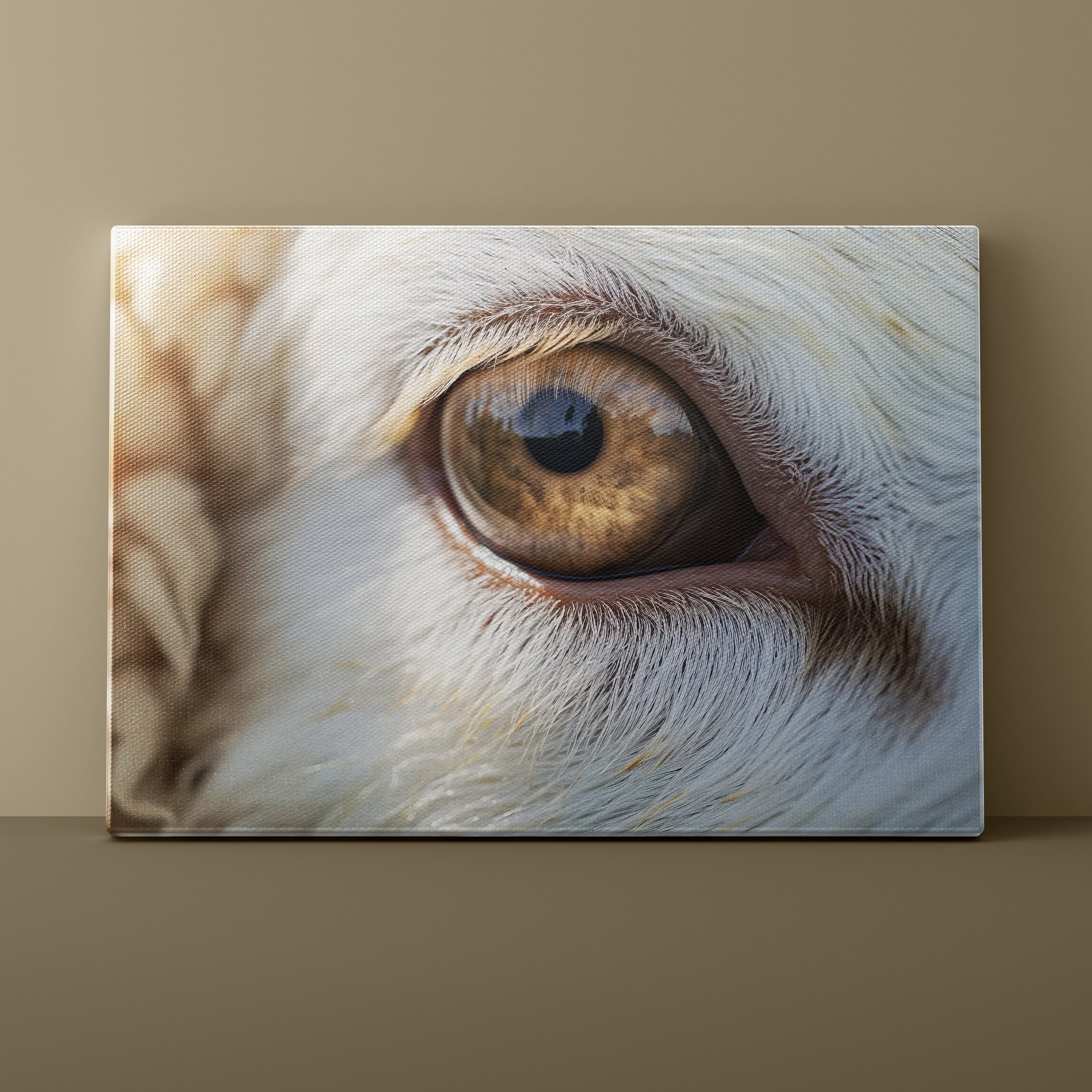 Close-up of a sheep's eye on a beige background