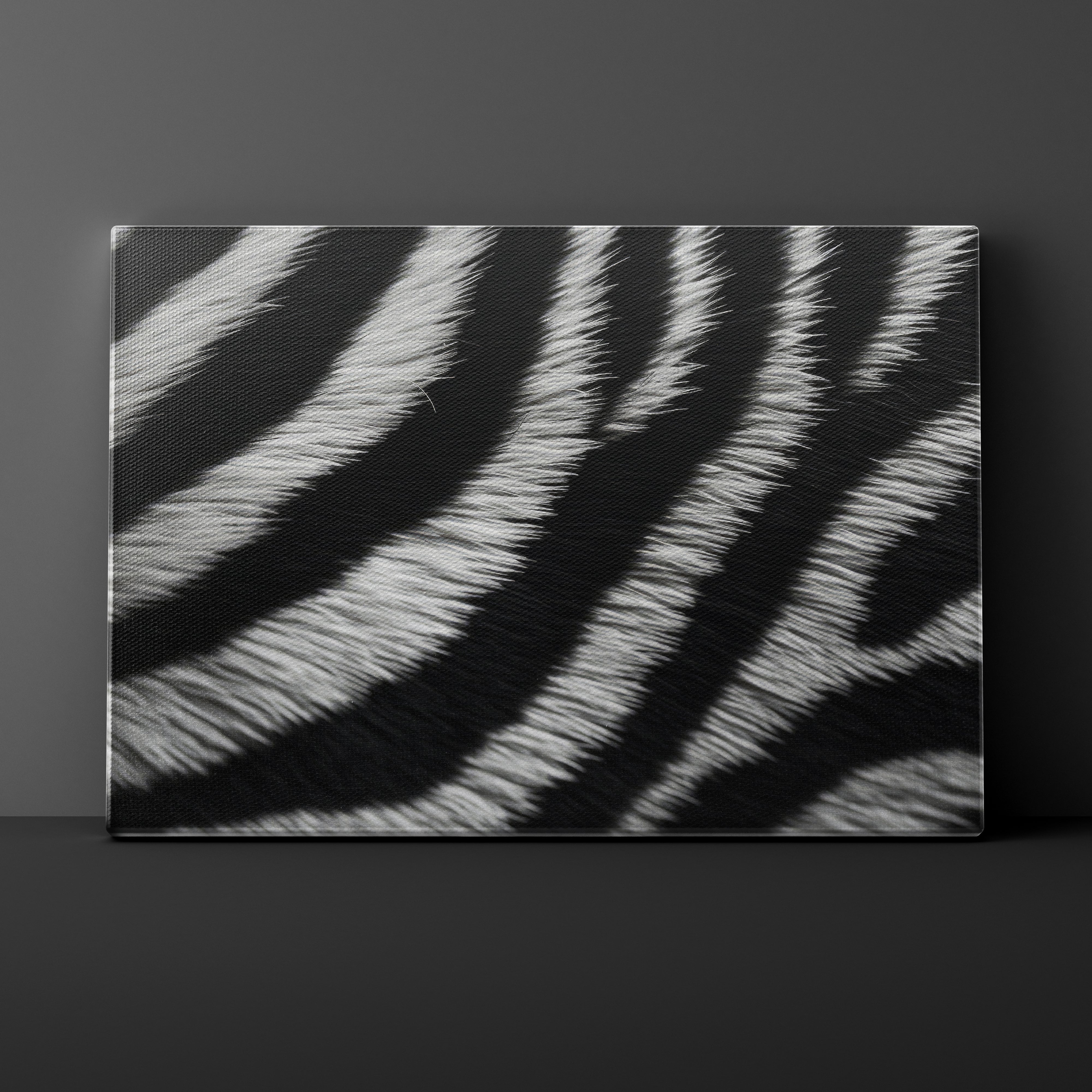 Canvas print with zebra stripe pattern on a dark background