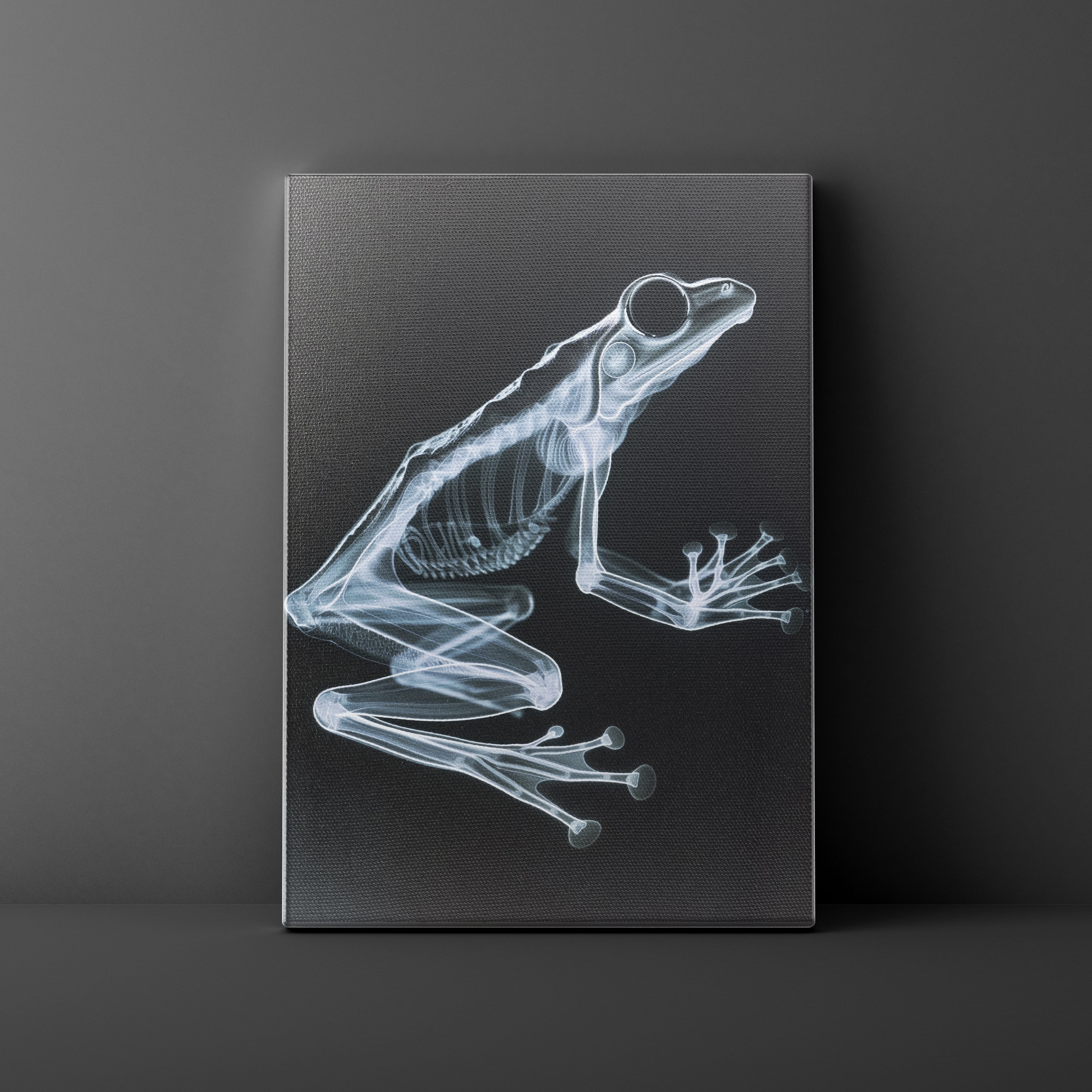 X-ray image of a frog on a dark textured background