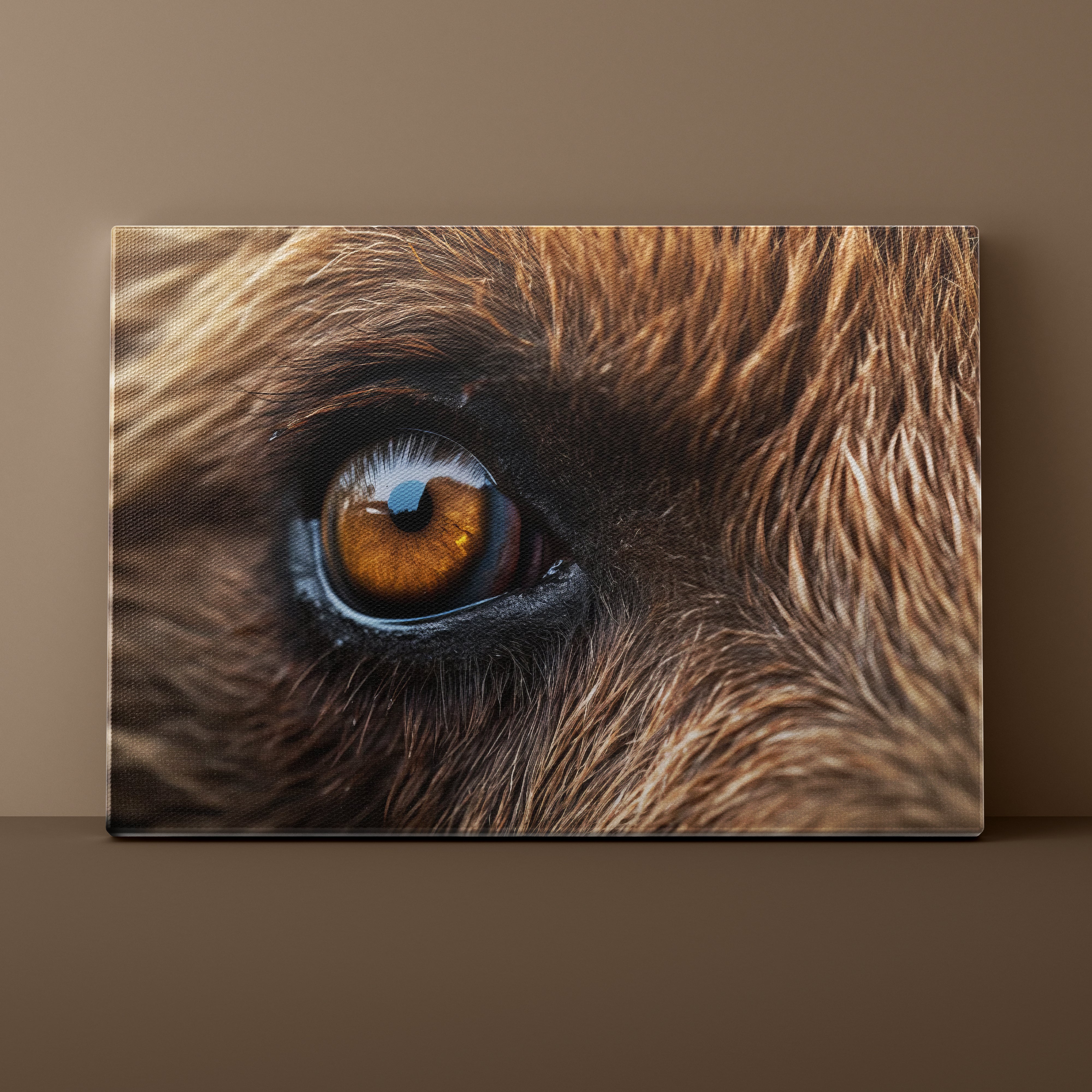 Close-up of a Bear's eye on a brown background