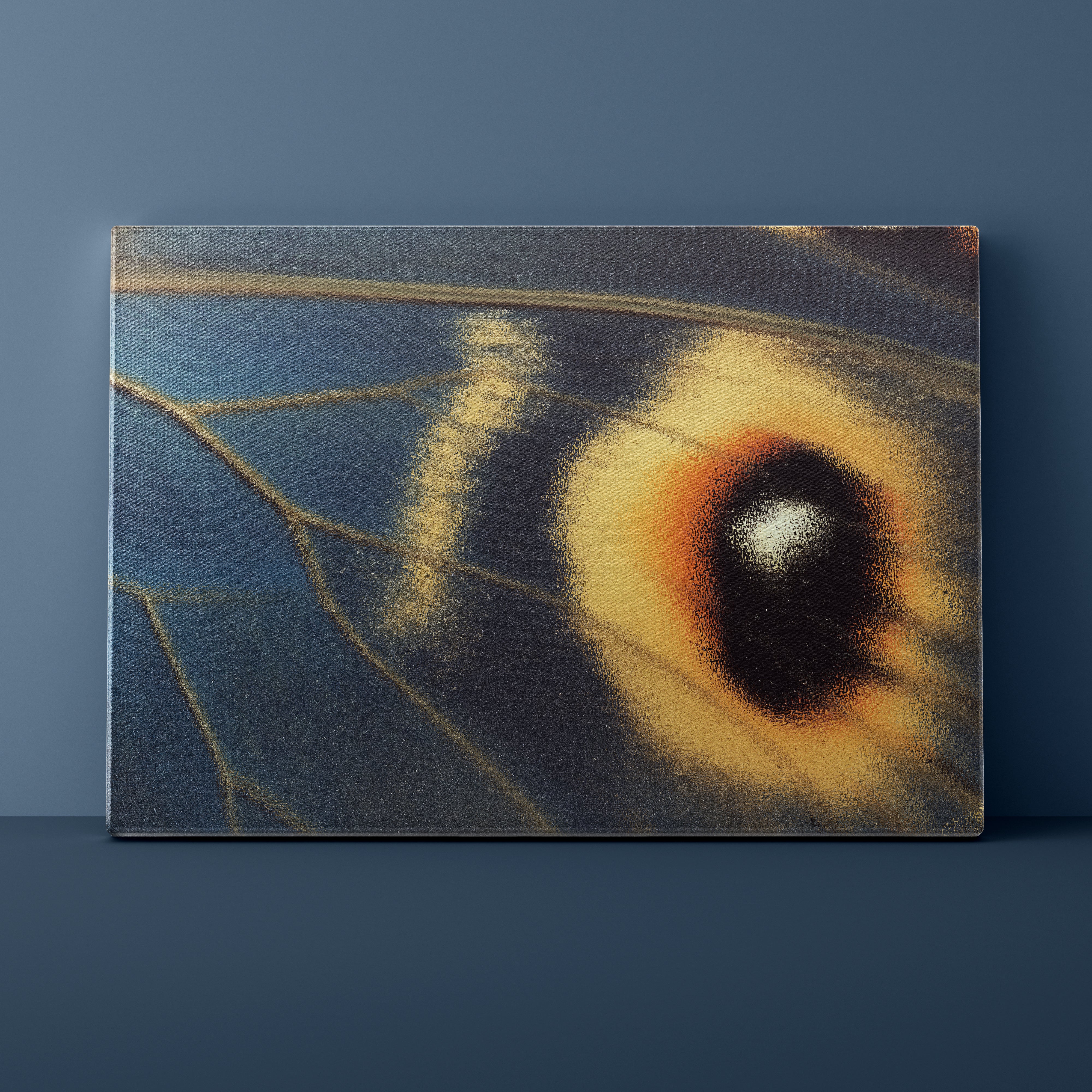 Close-up of a butterfly wing with a dark blue background