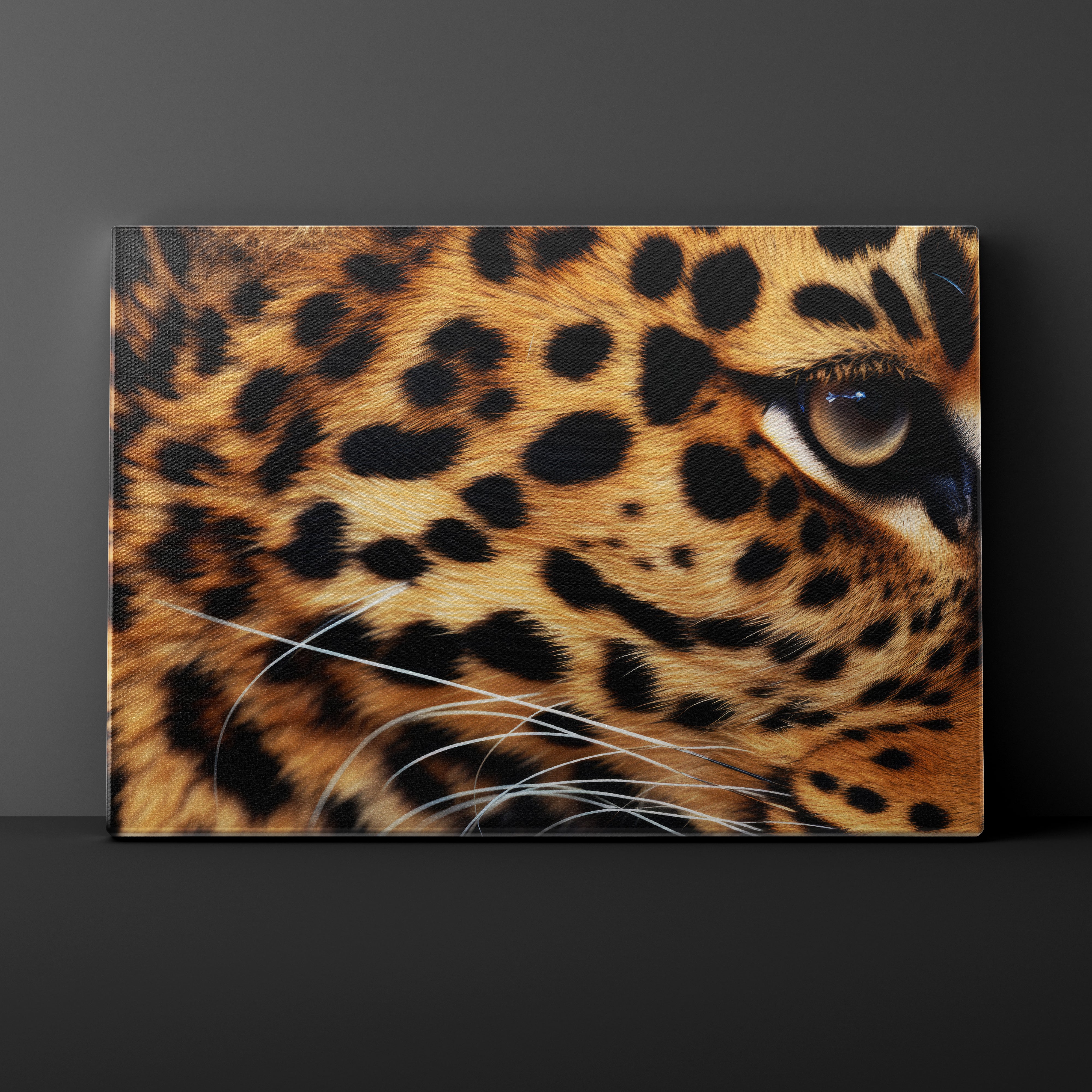 Close-up of a leopard's eye and fur pattern on a dark background