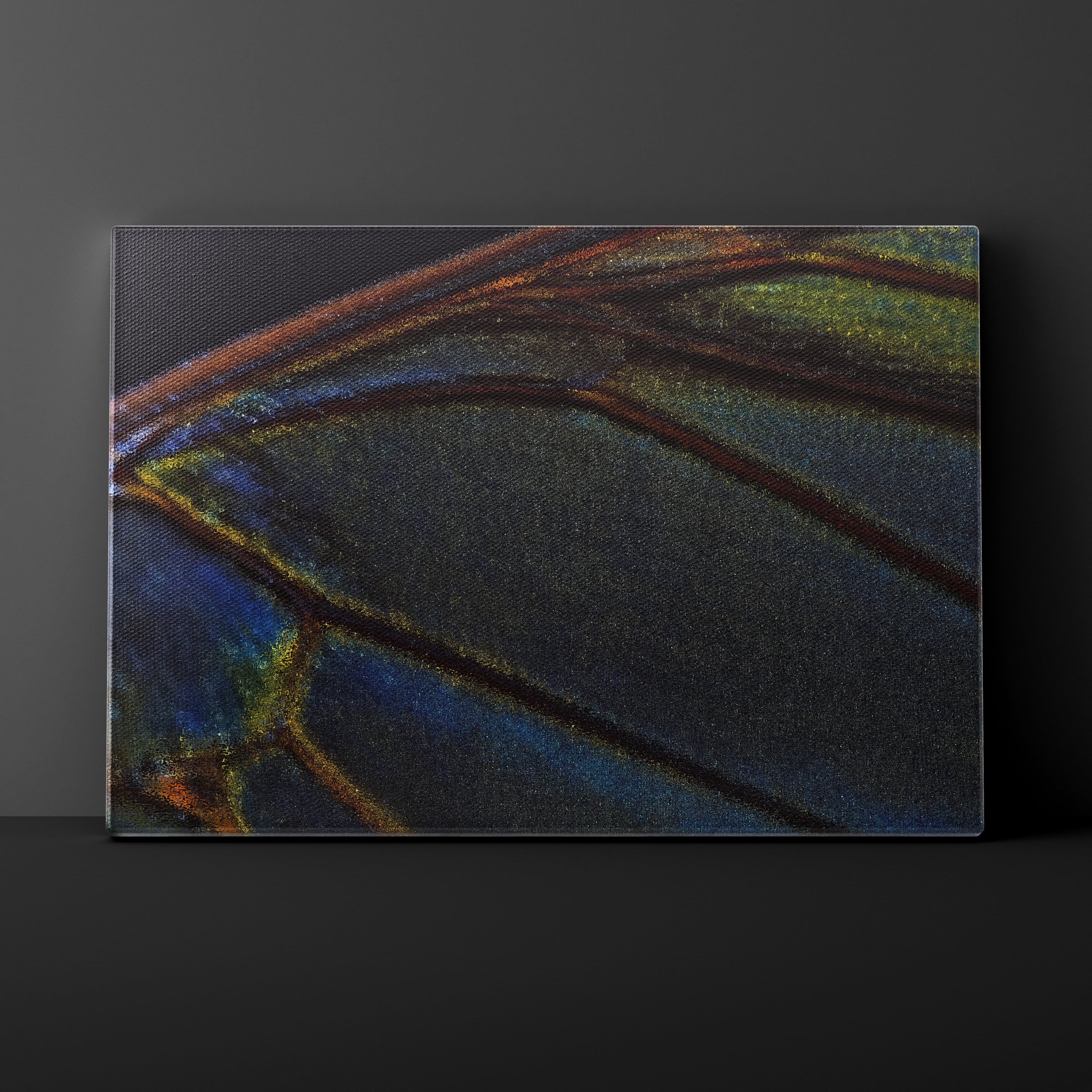 Close-up of a butterfly wing with intricate patterns on a dark background