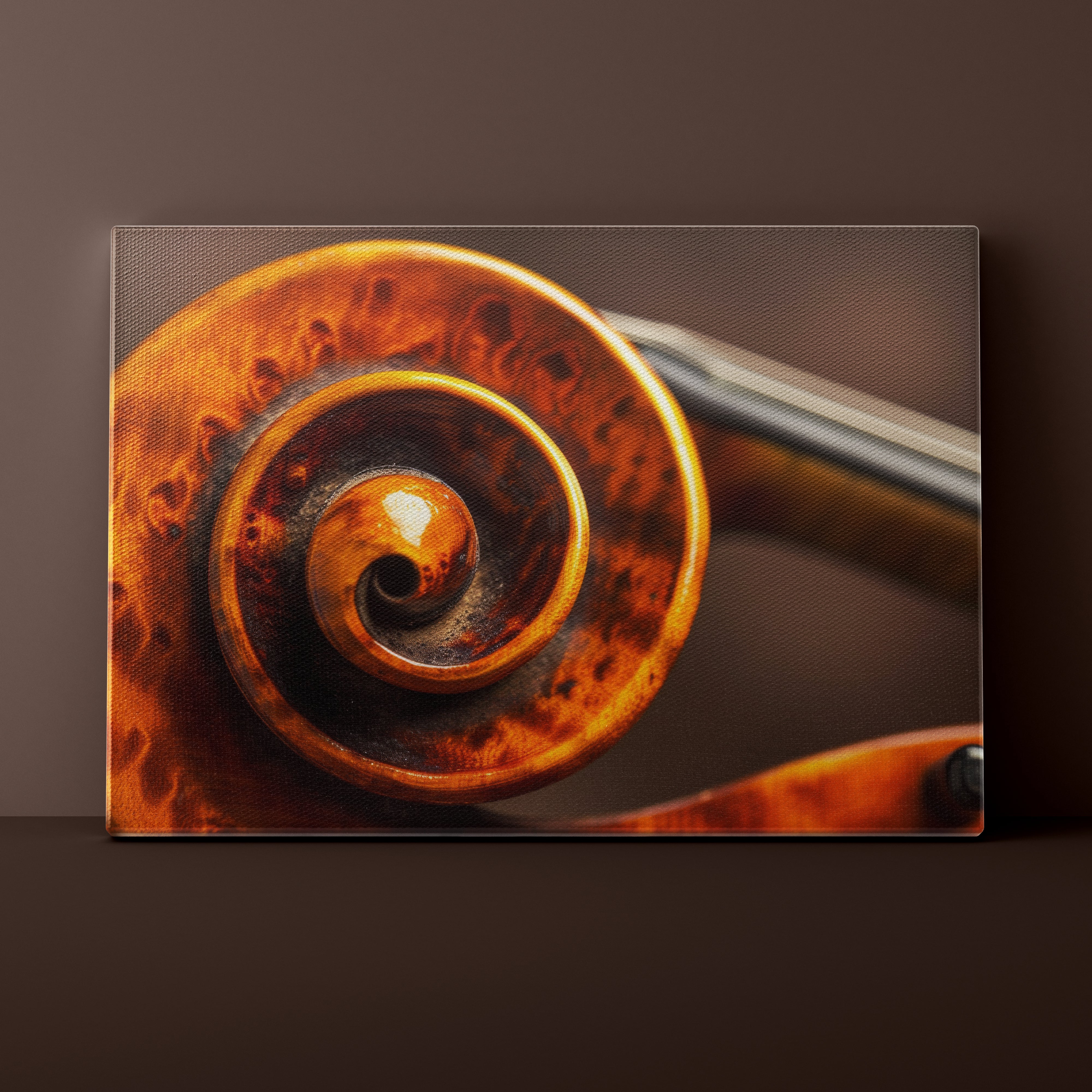 Close-up of a rusted metal spiral on a dark background