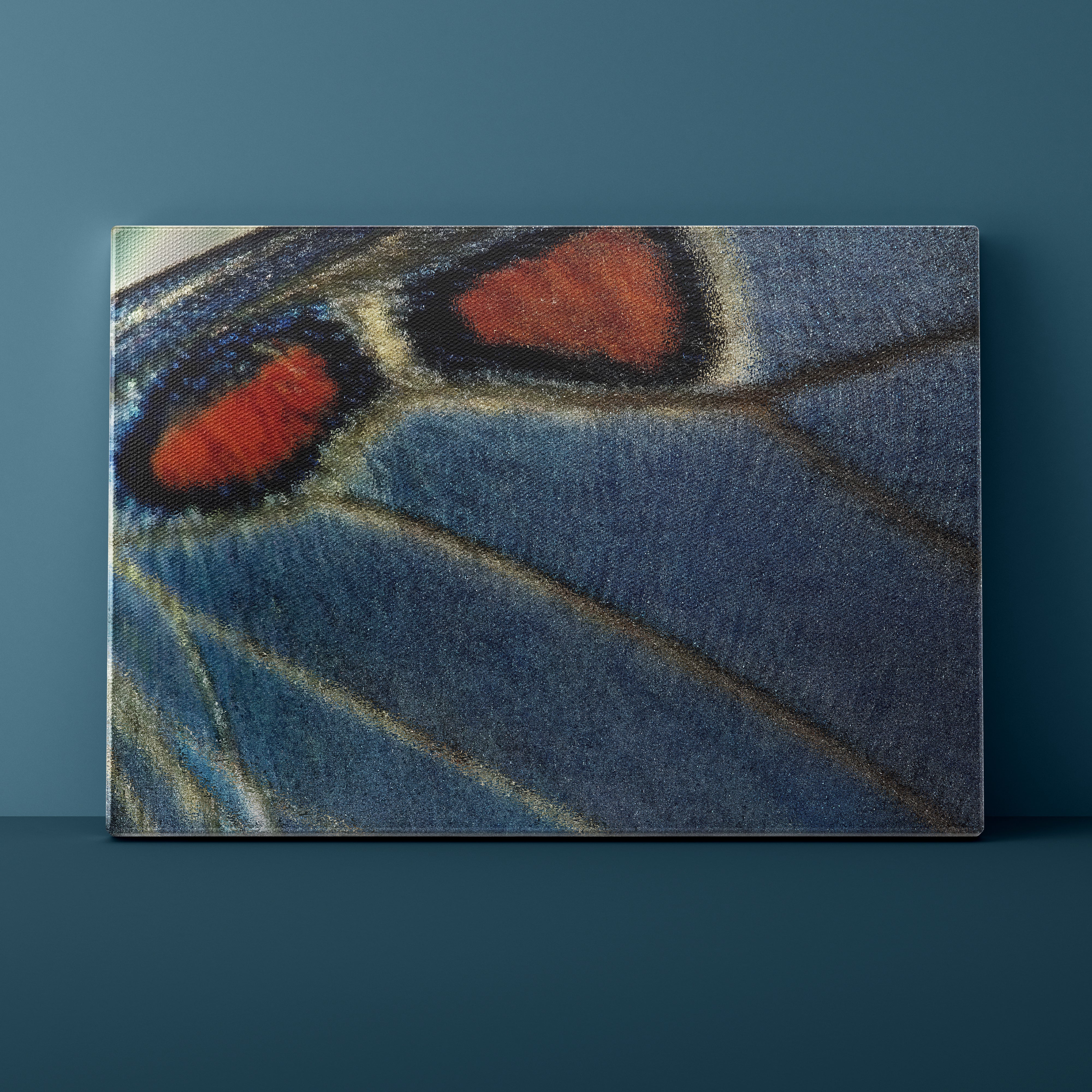 Close-up of a butterfly wing with blue, red, and black colors on a dark blue background