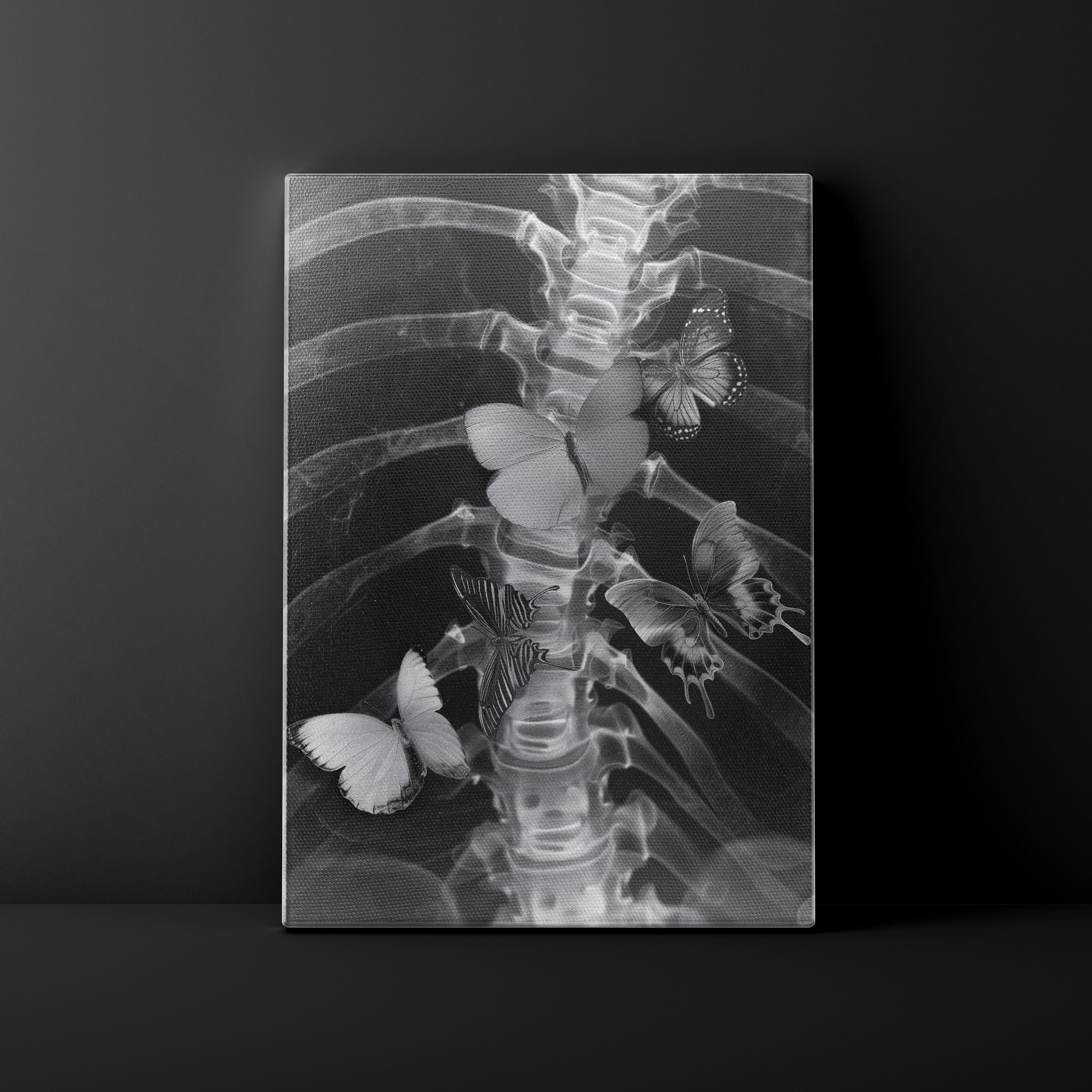 X-ray image of a butterfly on a black background