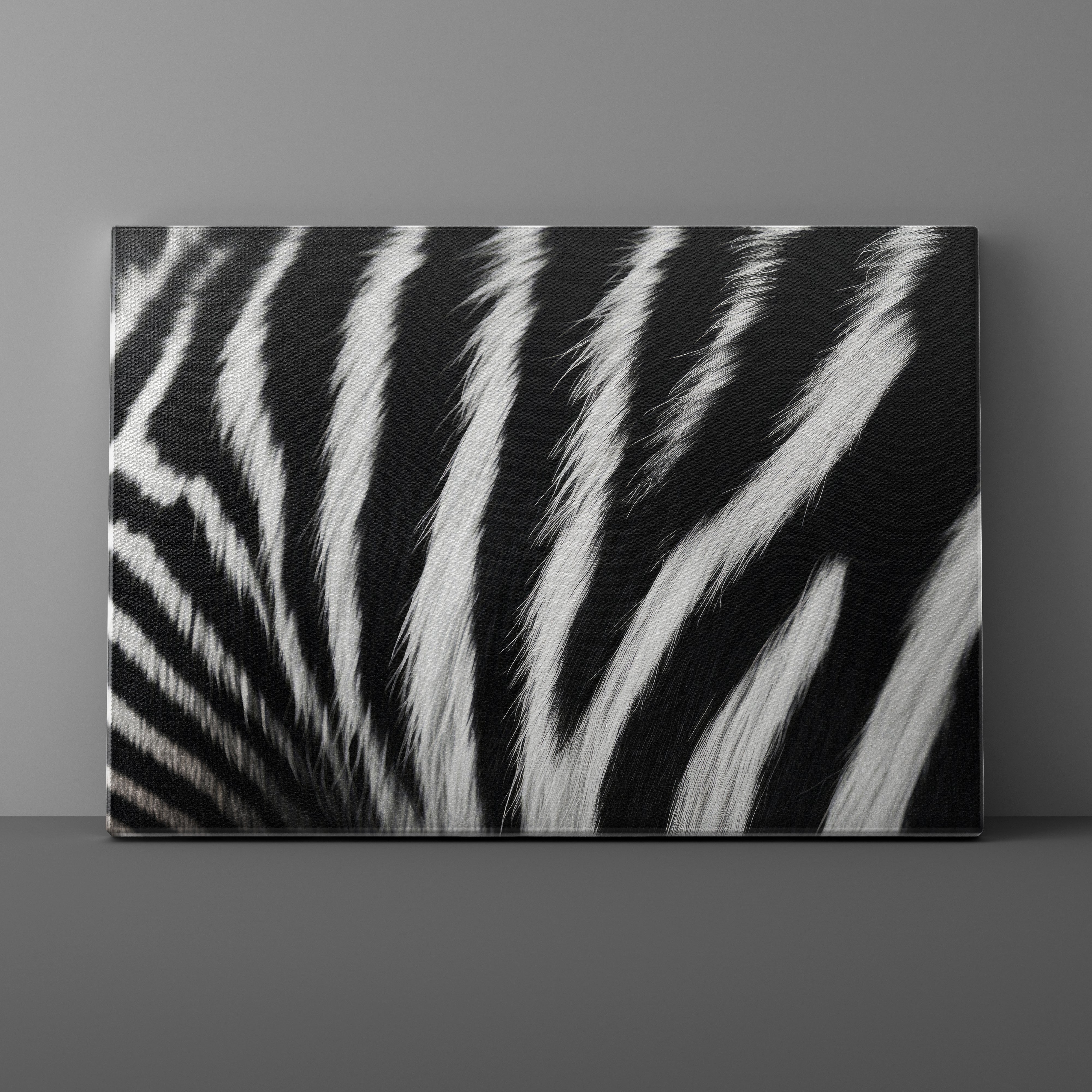 Canvas print with zebra stripe pattern on a gray background